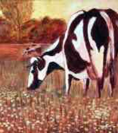 Koeien 40x100cm Acryl