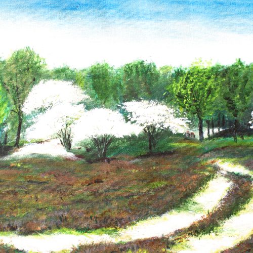 Krentenbomen bij 't Bluk € 75,00