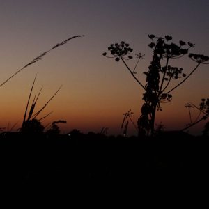DSC03577