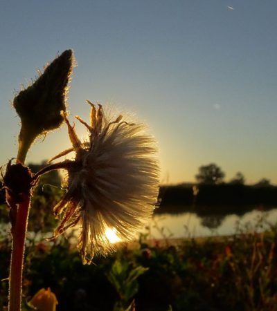 Zonsopkomst langs de Eem