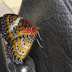 DSC04448