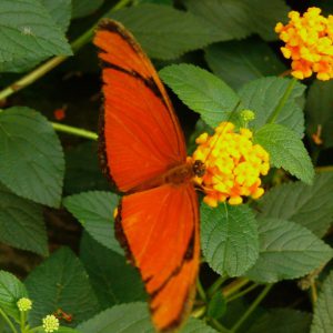 P1070900